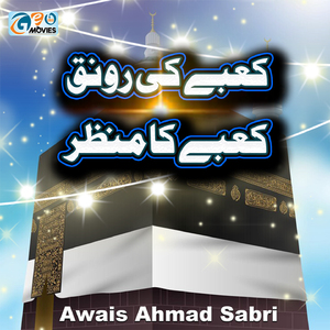 Ap Sa Dono Jahan Mein Nazar Aaya Hi Nahi