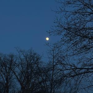 when we have to say goodbye