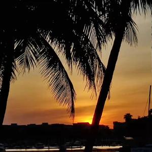 随想录(prod by.Hoodie Boy)