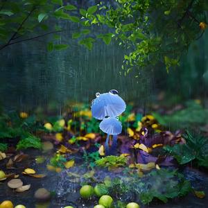 潺潺的小溪流水, 动听的鸟鸣声, 令人身心放松