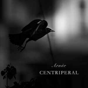 Centripetal
