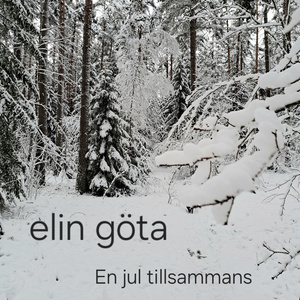 En jul tillsammans