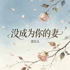 没成为你的妻