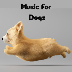 Music For Dogs
