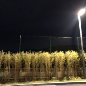 Raining（Prod.YoungMarkin&blueroomboy）