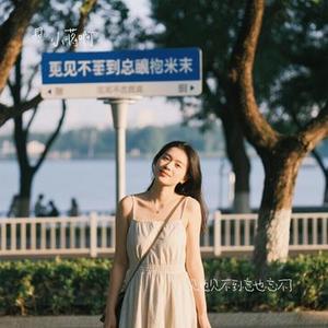 见也见不到忘也忘不了 (Remix)