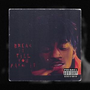 Break It Till You Make It