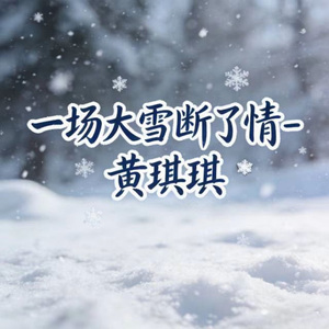 一场大雪断了情 (DJ涵涵版)
