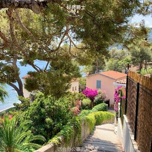 适合办公事务爵士