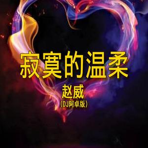 寂寞的温柔 (DJ版)