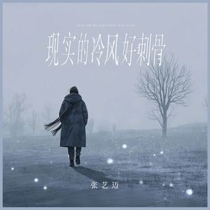 现实的冷风好刺骨