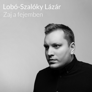 Zaj a fejemben