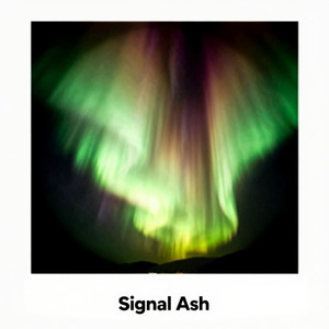 Signal Ash (Original Mix)