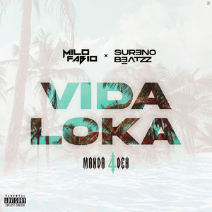 Vida Loka