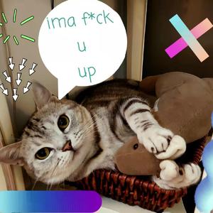 Mob lazy cypher (Prod by 9zi & 牙刷)