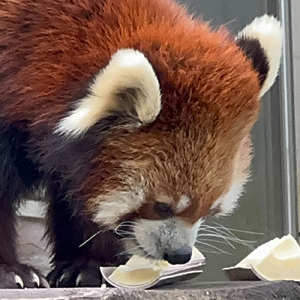 憤怒の天神～ プログレッシブ