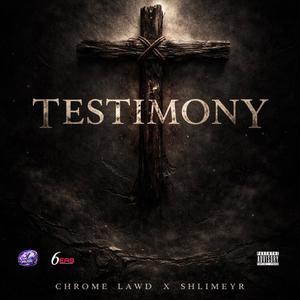 TESTIMONY