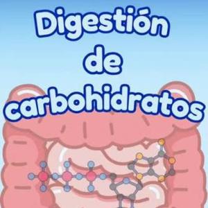 Digestion de carbohidratos
