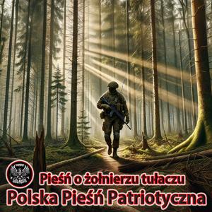 Pieśń o żołnierzu tułaczu, Idzie żołnierz borem lasem - Polska Pieśń Patriotyczna