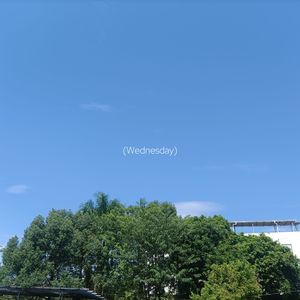Wednesday
