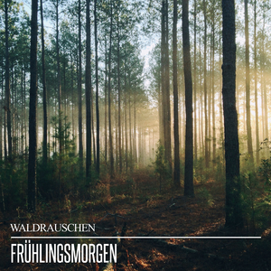 Verzauberte Vogelrufe