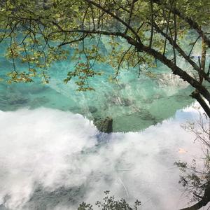 如愿（cover 王菲）