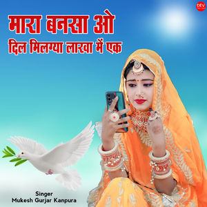 मारा बनसा ओ दिल मिलग्या लाखा में एक