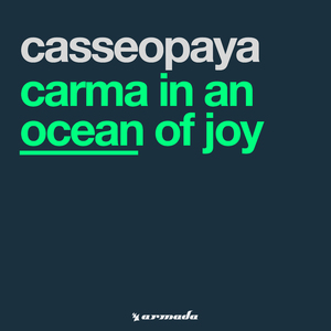 Carma In An Ocean Of Joy (Original)