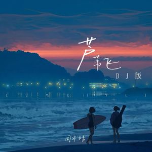 芦苇飞天涯(DJ版)