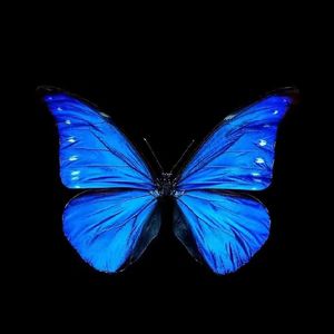 把我的悲伤留给自己