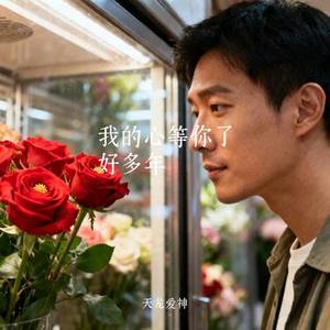 我的心等你了好多年