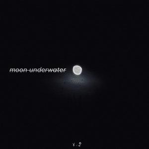 Moon Underwater