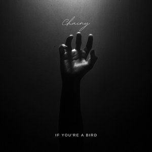If You're a Bird
