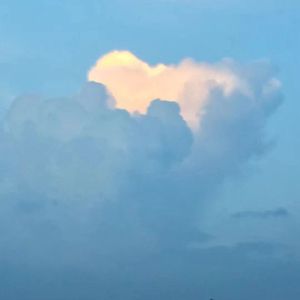 我无法做到的是 为你写最后一首歌