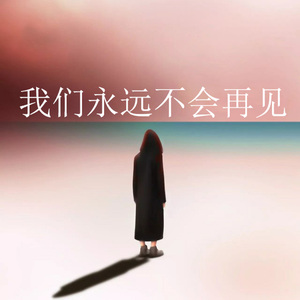 我们永远不会再见