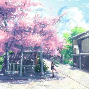 樱花树下的约定（抖音旺仔版）