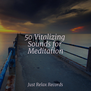 Floating Petals of Imagination