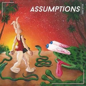 Assumptions
