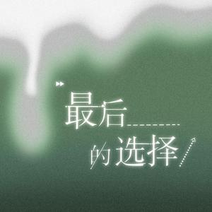 最后的选择
