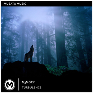 Turbulence (Radio Edit)