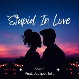 Stupid In Love (feat. Jackpot_Lott)