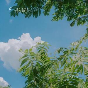 往事如一颗流星闪过