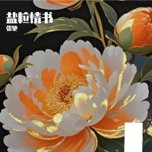 盐粒情书