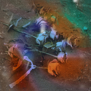 помни имя своё