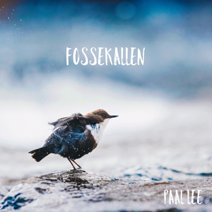 Fossekallen