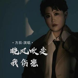 晚风吹走我伤悲