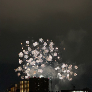 三岁