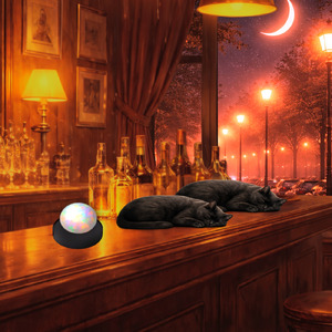 Echoes of a Bright Future