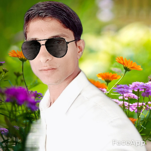 वादो भुलगी मोहब्बत को