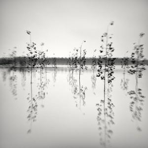 西固下雪了,你不在我身边（.incline✞ remix）